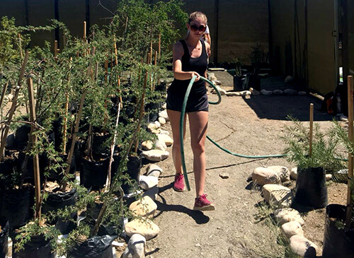 Revegetation Project