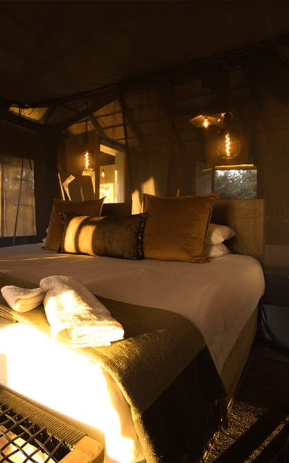 accomodationaccomodation